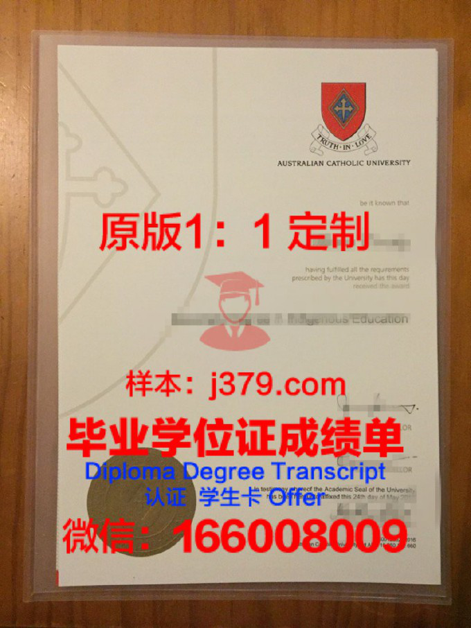 吉森大学diploma证书(德国吉森大学排名)